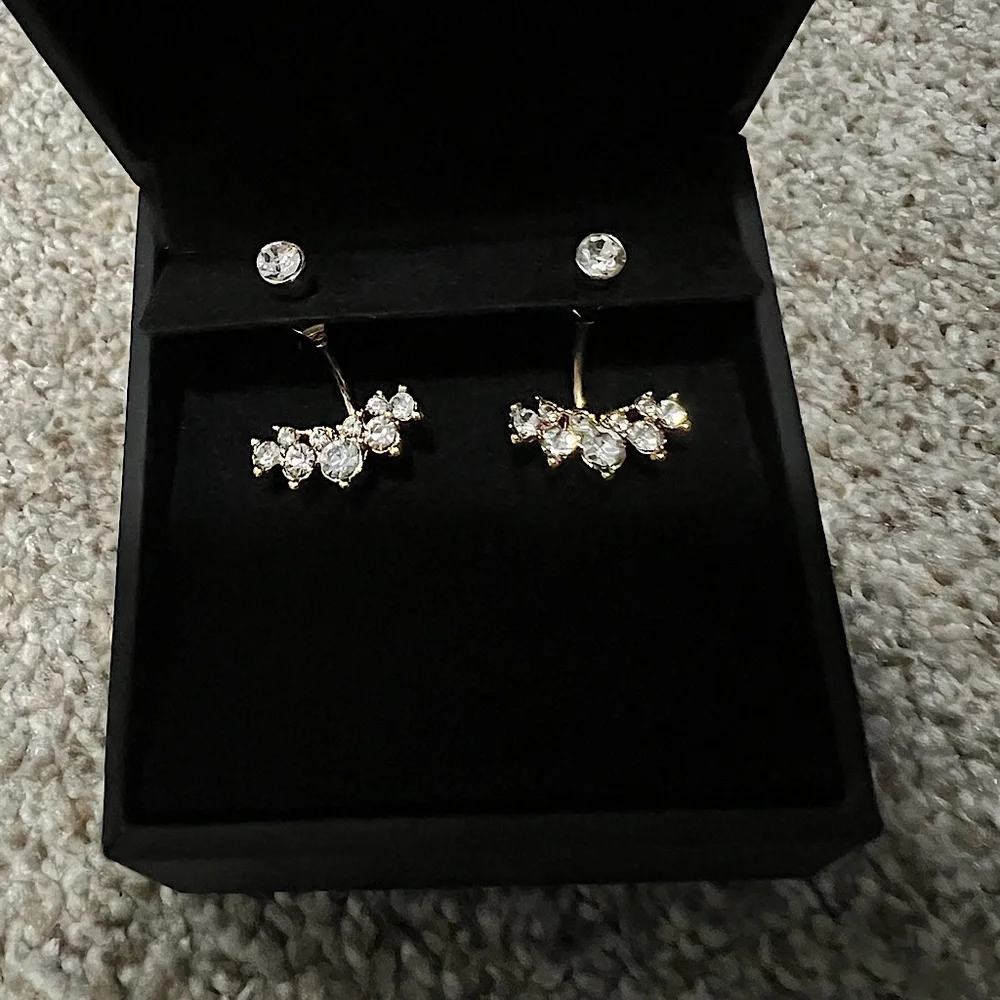Earrings - Picture 1 of 2